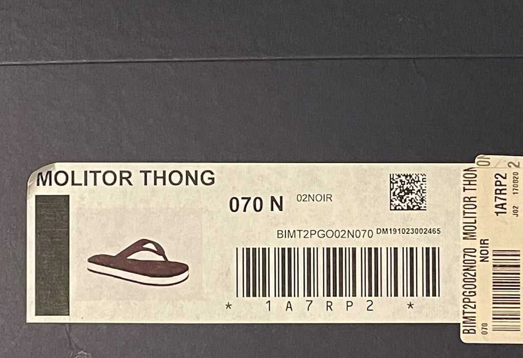 Louis Vuitton Men's Monogram Molitor Thong Sandals – Luxuria & Co.